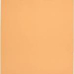 Mead Letter Size Mailing Envelopes